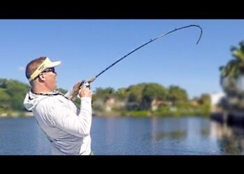 Inshore Fishing the Mullet Run. FISH EVERYWHERE!