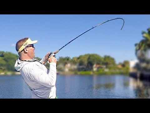 Inshore Fishing the Mullet Run. FISH EVERYWHERE!