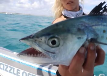 JUMBO Spanish Mackerel Fishing! How to Catch Mackerel (Catch Clean Cook)