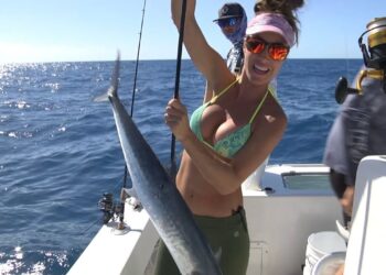 KINGFISHING in Islamorada Florida