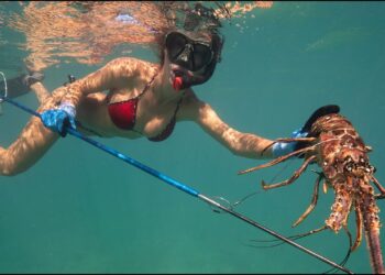 LOBSTERING in the Bahamas Pt 1