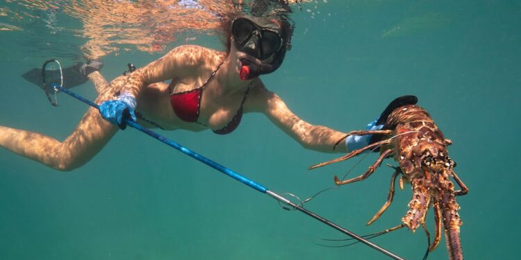 LOBSTERING in the Bahamas Pt 1