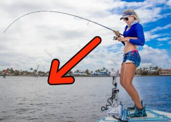 Light Tackle Fishing for Prehistoric MEGALOPS (aka Tarpon) Florida Inshore Fishing Video