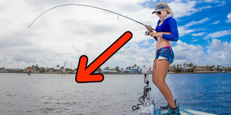 Light Tackle Fishing for Prehistoric MEGALOPS (aka Tarpon) Florida Inshore Fishing Video