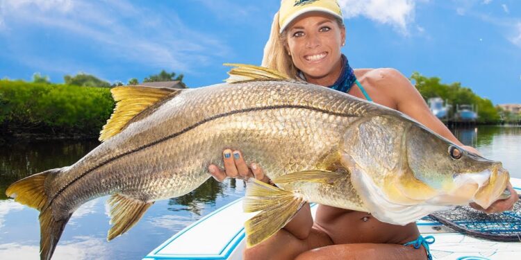 MASSIVE Snook Under Bridges! Inshore Fishing Jupiter, Florida