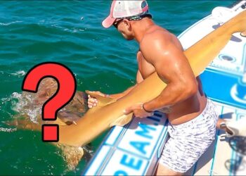 MISTAKEN IDENTITY Leads to Giant Surprise Catch!