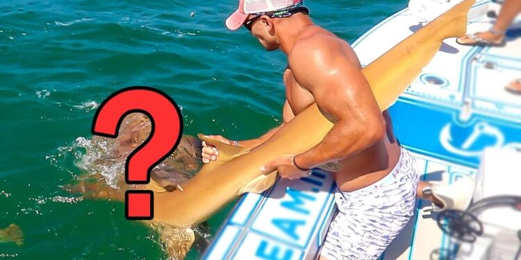 MISTAKEN IDENTITY Leads to Giant Surprise Catch!