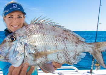 MONSTER Deep Sea Florida Porgy (Catch Clean Cook) Fresh Stone CRAB Stuffed Fish!
