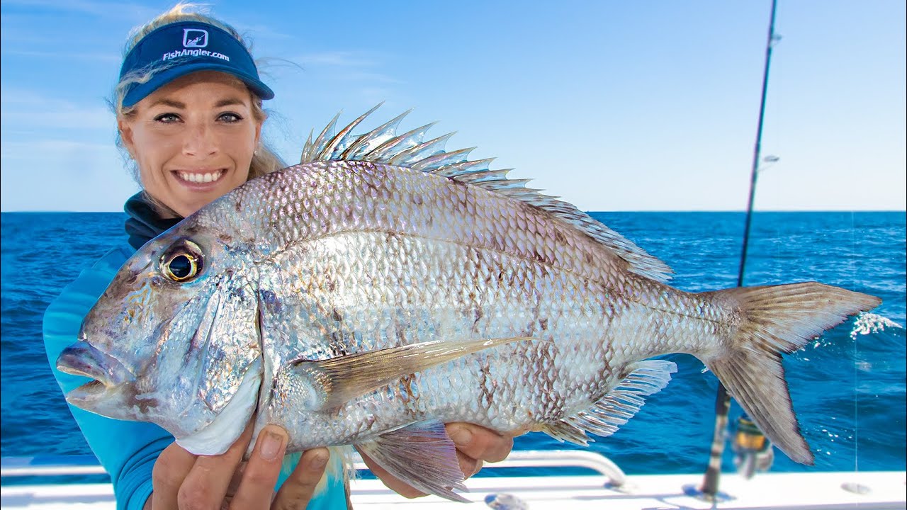 MONSTER Deep Sea Florida Porgy (Catch Clean Cook) Fresh Stone CRAB