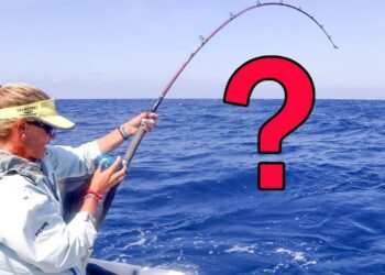 MONSTER Mistake on Deep Florida Wreck!