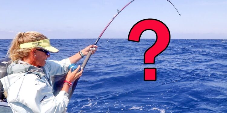 MONSTER Mistake on Deep Florida Wreck!