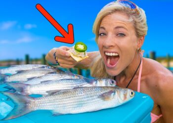 MULLET (Catch Clean Cook) The Results will SHOCK YOU! Smoked Mullet HOW TO