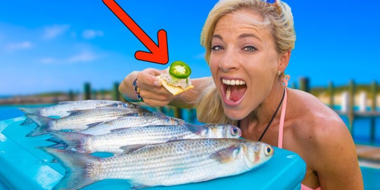 MULLET (Catch Clean Cook) The Results will SHOCK YOU! Smoked Mullet HOW TO