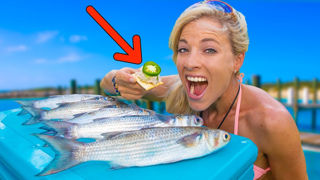 MULLET (Catch Clean Cook) The Results will SHOCK YOU! Smoked Mullet HOW