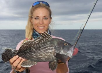 NEW YORK STYLE Black Sea Bass Catch and Cook!