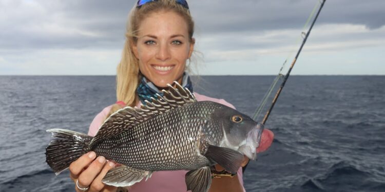 NEW YORK STYLE Black Sea Bass Catch and Cook!