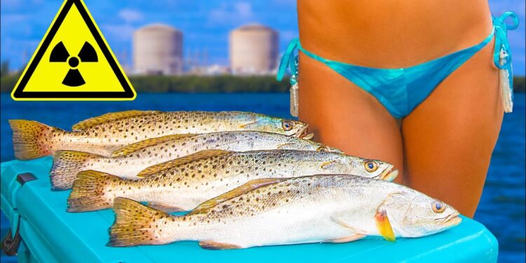RADIOACTIVE!? Nuclear Power Plant Fishing Catch Clean Cook- Speckled Sea Trout