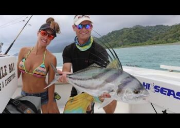 Roosters & SAILS in Costa Rica !