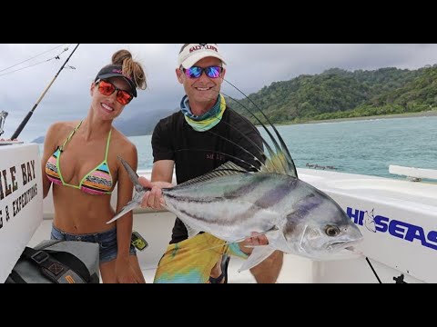 Roosters & SAILS in Costa Rica !
