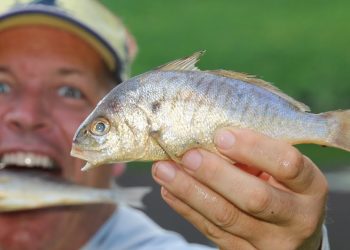 SECRET Bait That Catches GIANT FISH Every Cast!