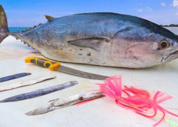 SECRET FREE BAIT Tackle Shops WONT Teach You! How To Make BONITO STRIPS for Trolling- Strip Bait Rig