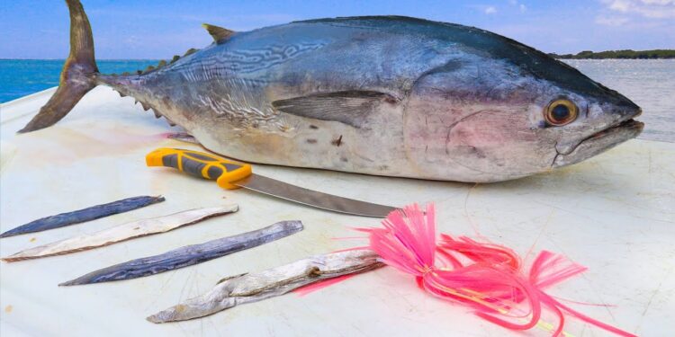 SECRET FREE BAIT Tackle Shops WONT Teach You! How To Make BONITO STRIPS for Trolling- Strip Bait Rig