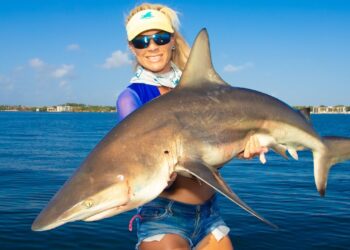 SHARK Catch Clean Cook! The TRUTH Behind Eating SHARK! Blacktip Shark (Florida Shark Fishing)