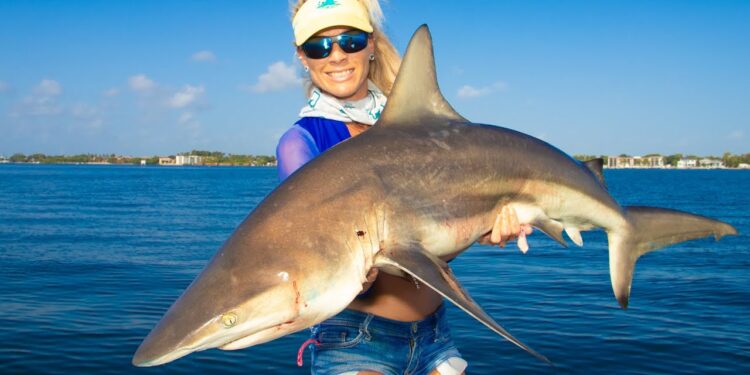 SHARK Catch Clean Cook! The TRUTH Behind Eating SHARK! Blacktip Shark (Florida Shark Fishing)