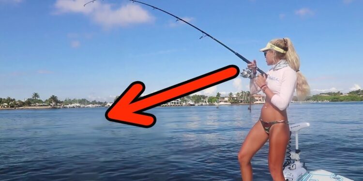 SHARKS Caught with BASS GEAR! Florida Inshore Fishing Video!