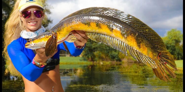 SNAKEHEAD Fish (Catch Clean Cook) Most INVASIVE Species! Deep Fried Fish Fingers!