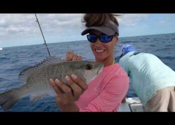 SNAPPER Fishing
