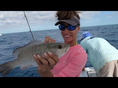 SNAPPER Fishing