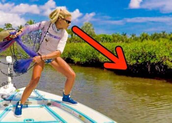 SO DIRTY! Girl Throwing Cast Net & Inshore Fishing Florida Video