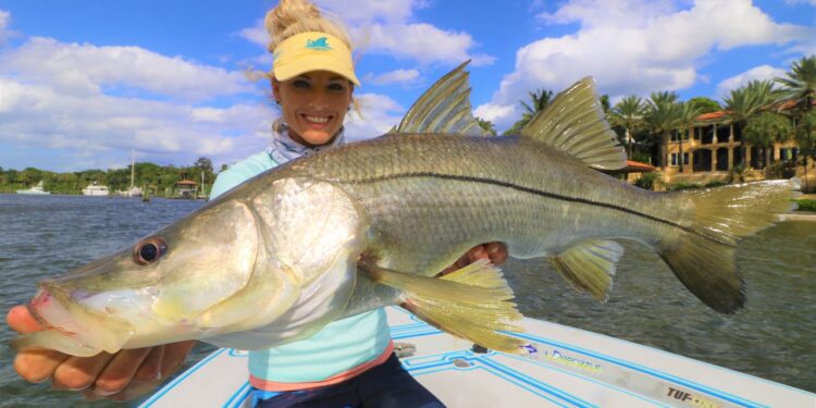 SOAP FISH! NEVER seen in restaurants! Florida Inshore Fishing Catch & Cook