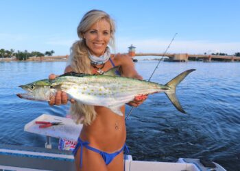 SPANISH MACKEREL Campfire (Catch Clean Cook) Primitive Cooking!