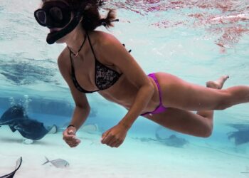 STINGRAYS, Marlin & Tuna in PARADISE