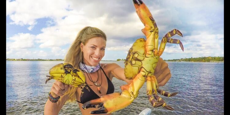 STONE CRAB CLAWS! How To ( Catch Clean Cook ) the Most Expensive Seafood Ever