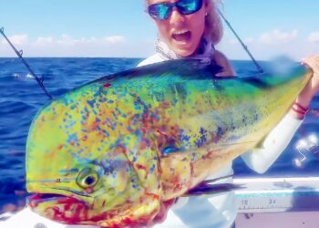 Searching for DINNER FISH on our Offshore Boat!
