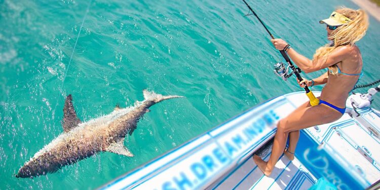 Sight Casting BIG BAIT to Blacktip Sharks in Crystal Clear Water