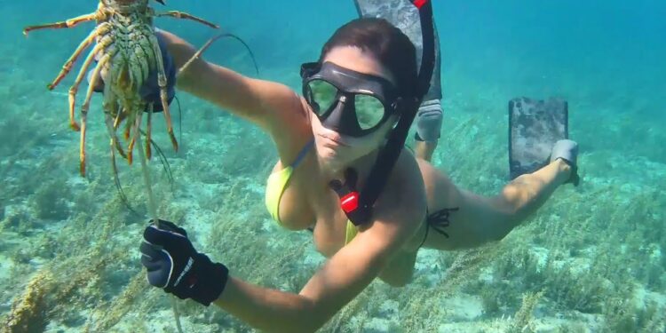 Spearfishing & lobstering in Grand Bahama!
