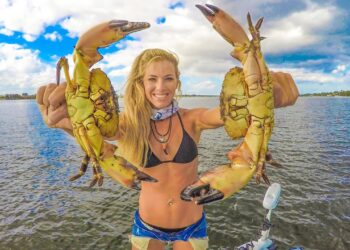 Stone Crab Claws! BEST How To Go CRABBING in Florida! (Catch Clean Cook) EASY and FUN!