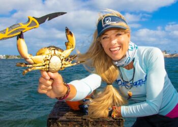 Stone Crab STEALS MY KNIFE! Crabbing in Florida!