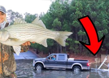 Surprise GIANT Fish Catch at DANGEROUSLY Flooded Lake!
