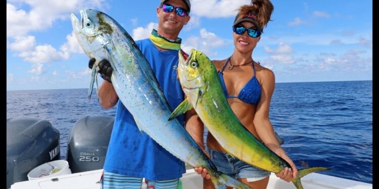 TUNA & DOLPHIN Fishing in Grand Cayman Pt 1