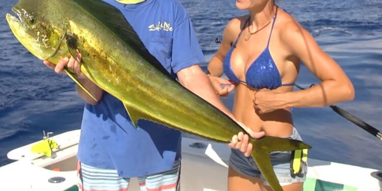 TUNA & DOLPHIN Fishing in Grand Cayman Pt 2