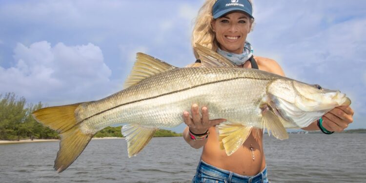 The SECRET to Catching BIG Fish Inshore Fishing! Snook Fishing Tips (Stuart Florida Fishing)