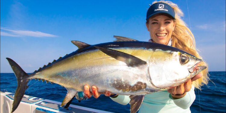 Tuna Fish NOT SOLD in Stores! Catch Clean Cook- DEEP SEA Blackfin Tuna! (Tuna Poke Bowl Recipe)