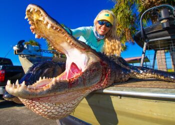 Two Massive Florida ALLIGATORS! How To Catch and Cook an Alligator!
