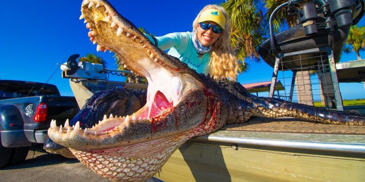 Two Massive Florida ALLIGATORS! How To Catch and Cook an Alligator!