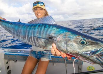 Two beautiful loins! Happy Thanksgiving WAHOO caught offshore Florida